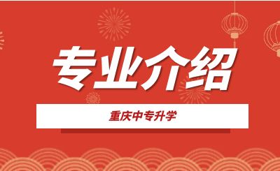 重慶市九龍坡職業(yè)教育中心電子商務(wù)專(zhuān)業(yè)介紹